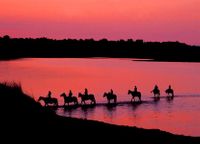 Reiten - Horseriding